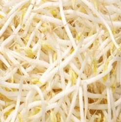Cooking with Bean Sprouts
