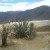 Hierve el Agua Hierve el Agua