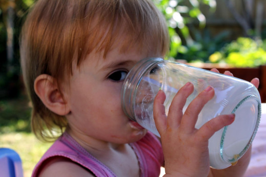 Low Fat Milk is an excellent source of Calcium and Vitamin D for your 2 Year Old