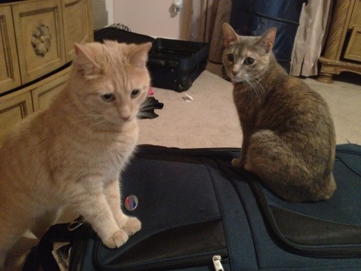 You are not going anywhere unless you take us with you!
