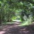 Serene pathways characterize Hoomaluhia Serene pathways characterize Hoomaluhia