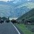 Bison Jam in Lamar Valley Bison Jam in Lamar Valley