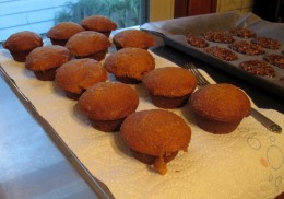 Pumpkin muffins.
