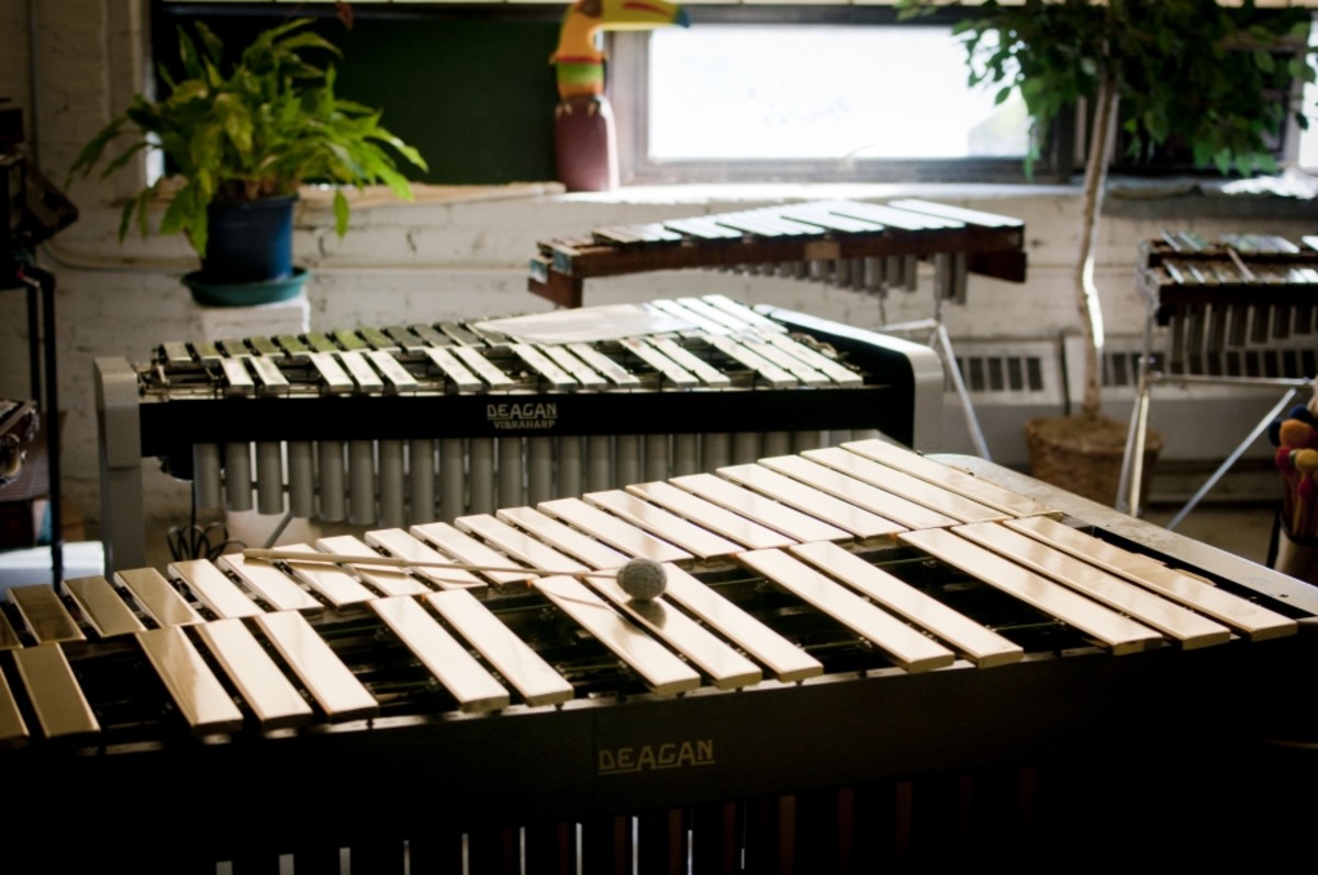 Why Should You Play Percussion?