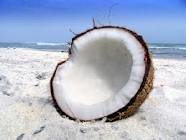 Wonderful Coconut 
