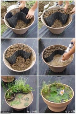 How to Make a Water Garden