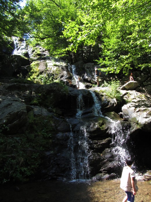 Dark Hollow Falls in the Shenandoah National Park