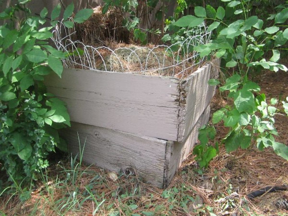 A homemade compost bin made from old boards. I put the spare fencing around the top to help keep any varmints out.
