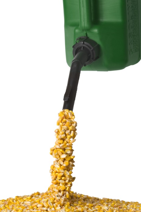 Corn Ethanol Waste
