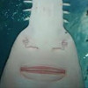 Sawfishlagone profile image