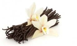 Easy Homemade Vanilla Extract
