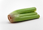 Celery is a must for chicken soup