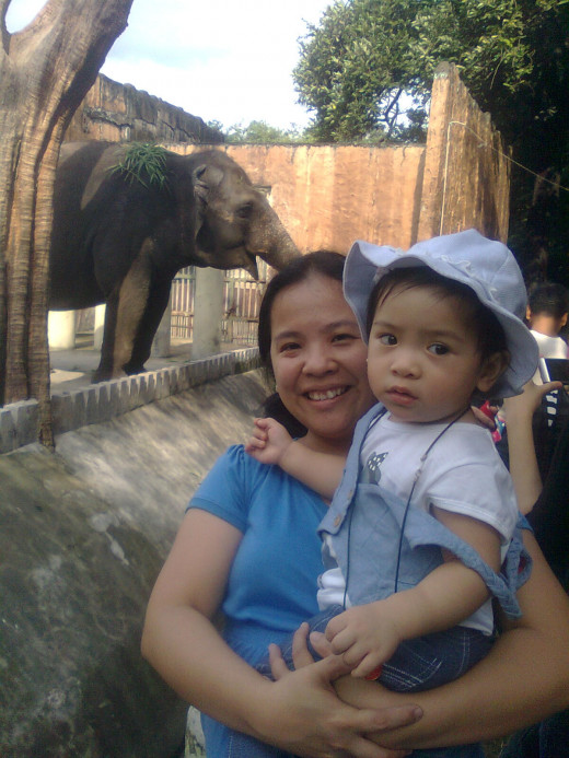 We're in time for the elephant's snack.  We actually got to feed the elephant.  Cool first trip to the zoo for my daughter.