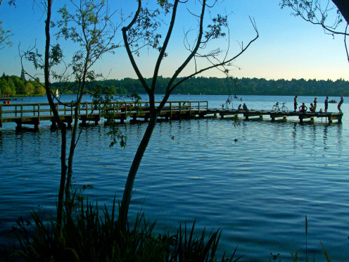 Green Lake Docks