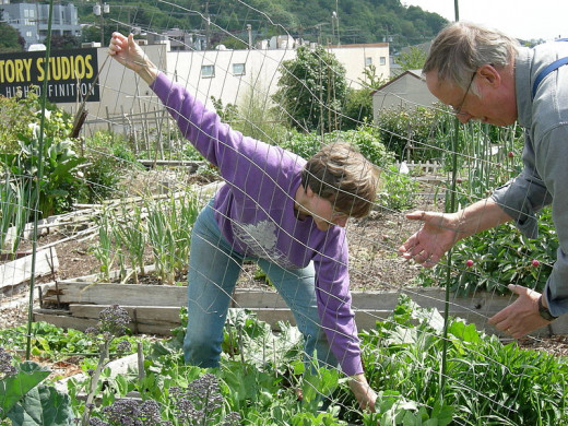 Gardeners working on a fence in their garden.