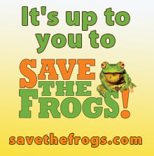 Save The Frogs banner