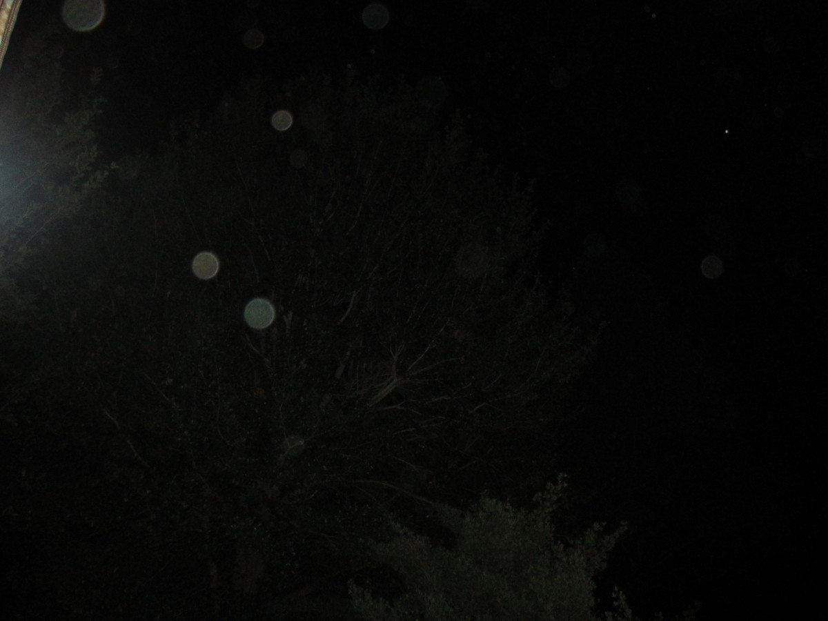 Orbs:  Spirits or Dust Particles?
