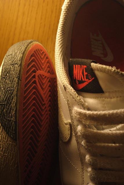 Nike's trademark cannot be used by any other company, even if they change the color.