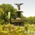 Turtle Pond (Images I Captured) Turtle Pond (Images I Captured)
