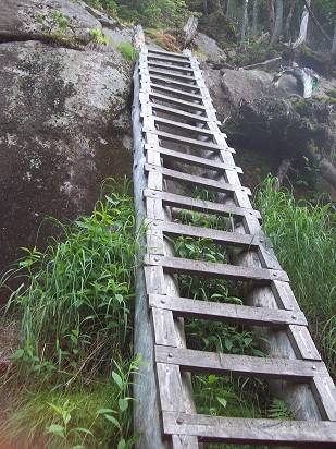 Once in a while, just when you're about to surrender yourself to the mountain and die, Nature throws you a bone, like this ladder.