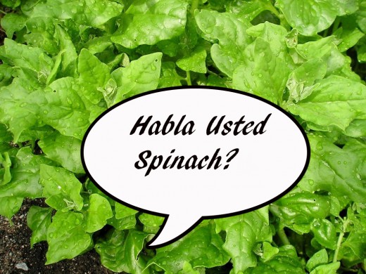 She speaka da Spinach!
