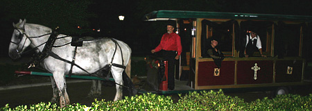 Exploring Haunted Saint Augustine by Horse Drawn Carriage