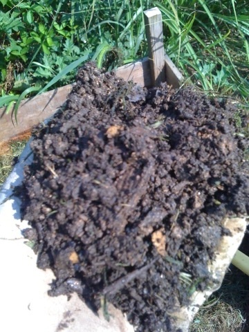 Good compost is black and crumbly. 