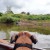 'Hendrix' keeping a look-out! 'Hendrix' keeping a look-out!