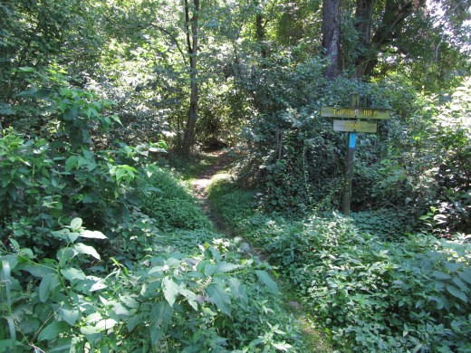 Sign marking the trail at the north side.