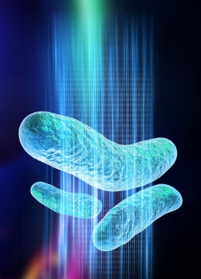 Graphic representation of E. coli