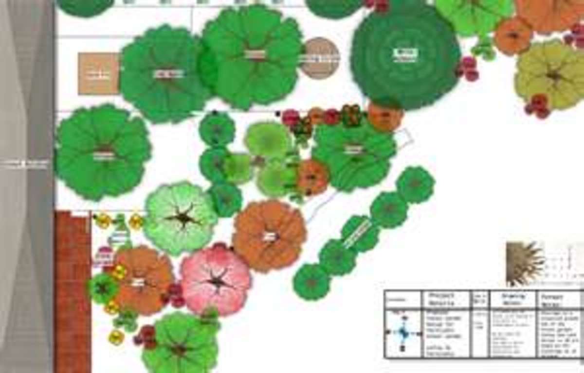 Designing a forest garden
