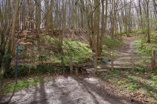 The cotswold way near Belas Knap