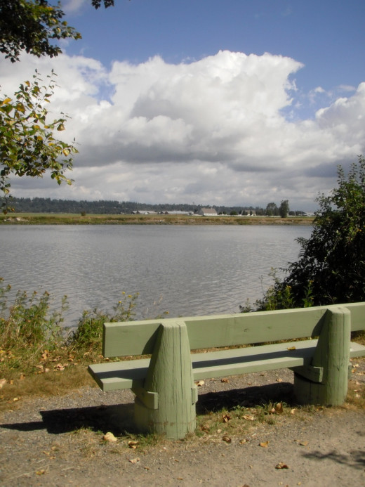 The City of Surrey has an endowment program which allows citizens to designate a bench in memory of friends or family members.
