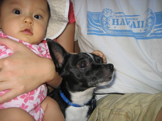 Pets increase oxytocin levels in children. Even just thinking about a pet will increase your child's oxytocin levels!