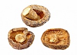 Mushrooms add a special taste
