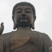 meenakshizone profile image
