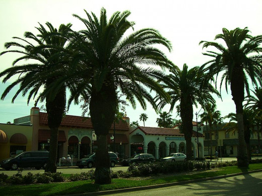 Downtown Venice has manicured palm-tree lined walkable streets.