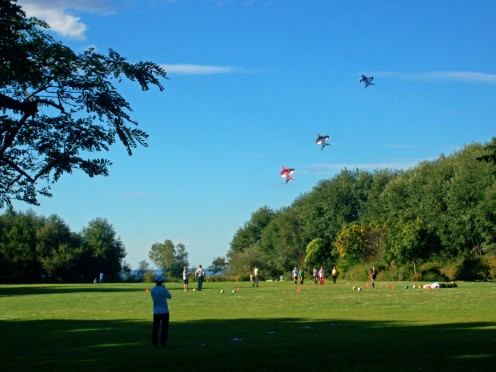 Golden Gardens Park
