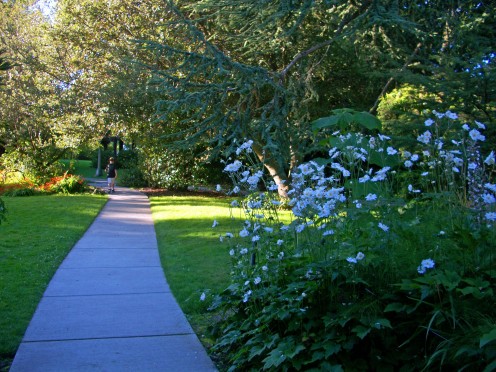 Botanical Gardens at the Ballard Locks