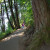 Multnomah Falls Walking Trail Multnomah Falls Walking Trail