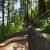 Multnomah Falls Walking Trail Multnomah Falls Walking Trail
