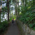 Kids Racing on Multnomah Falls Walking Trail Kids Racing on Multnomah Falls Walking Trail