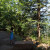 A Girl on Multnomah Falls Walking Trail A Girl on Multnomah Falls Walking Trail