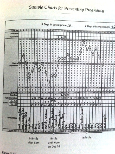 An example chart from "The Garden of Fertility"