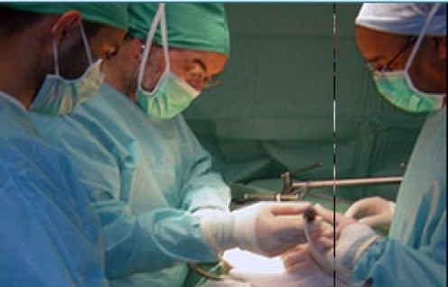 Ten Things to Do to Have a Long-Term Organ Transplant Ten Things to Do to Have a Long-Term Organ Transplant
