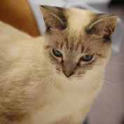 RitaPita profile image