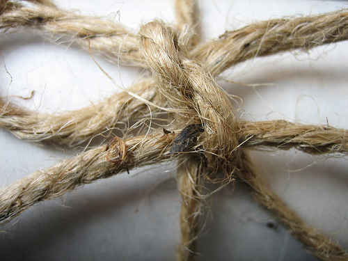 Jute is one type of natural grass fiber used for carpets.