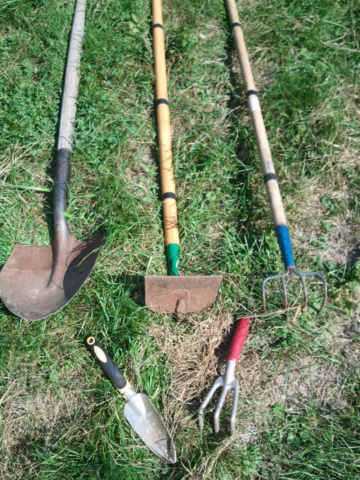 Hand tools can easily kill weeds.