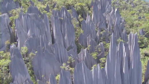 Limestone Hills: Captured from the documentary film, Planet Earth.