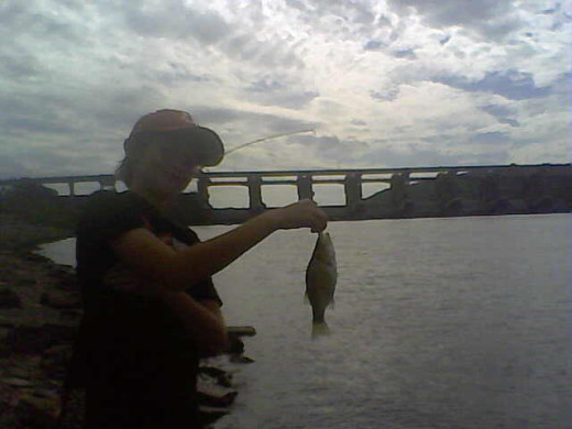 A picture can speak a thousand words, but this one actually shows the 100th fish Adam caught during a four-hour outing in the Ohio River.